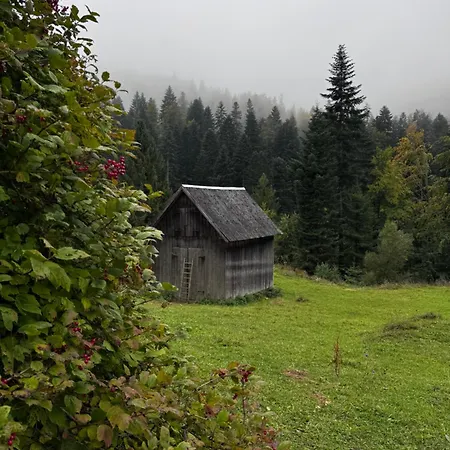 хата у карпатах Holiday home Yavoriv (Ivano-Frankivsk)