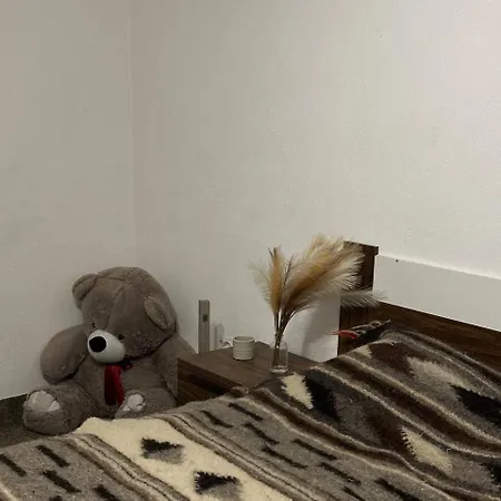 Prázdninový dům хата у карпатах *